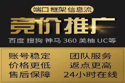 某科技公司的信息流广告投放策略与效果评估